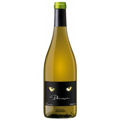 Daimon Blanco